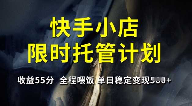 快手小店限时托管计划，收益55分，全程喂饭，单日稳定变现5张【揭秘】-云库资源
