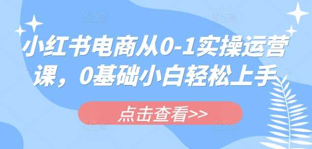 小红书电商从0-1实操运营课，0基础小白轻松上手-云库资源