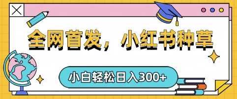 小红书种草，手机项目，日入3张，复制黏贴即可，可矩阵操作，动手不动脑【揭秘】-云库资源