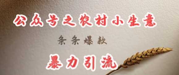 deepseek写农村小项目，条条爆款，暴力引流-云库资源