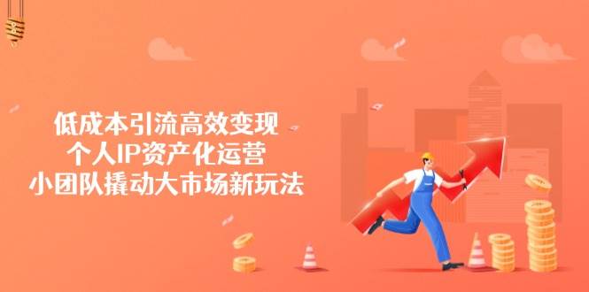 低成本引流高效变现，个人IP资产化运营，小团队撬动大市场新玩法-云库资源