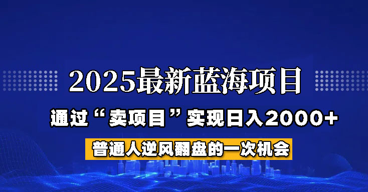 2025年蓝海项目，如何通过“网创项目”日入2000+-云库资源