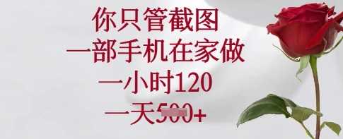 你只管截图，一部手机在家做，一小时120.一天5张【揭秘】-云库资源