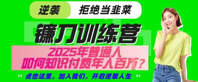 【网创项目终点站-镰刀训练营超级IP合伙人】25年普通人如何通过知识付费实现逆袭【揭秘】-云库资源