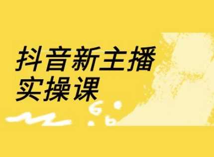 抖音新主播实操课，直播间流量运营线上实操课(18节)-云库资源