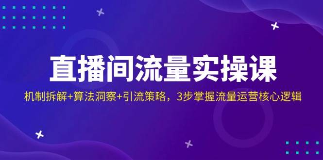 直播间流量实操课：机制拆解+算法洞察+引流策略，3步掌握流量运营核心逻辑-云库资源