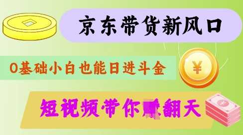 最新京东短视频带货代运营秘籍，轻松躺挣【揭秘】-云库资源