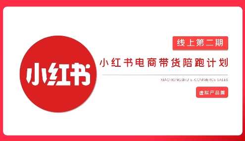 2025小红书虚拟电商实战课，从0到1打造无货源店铺，AI+爆款笔记轻松变现-云库资源