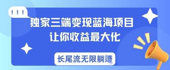 独家三端变现蓝海项目，让你收益最大化，长尾流无限躺挣-云库资源