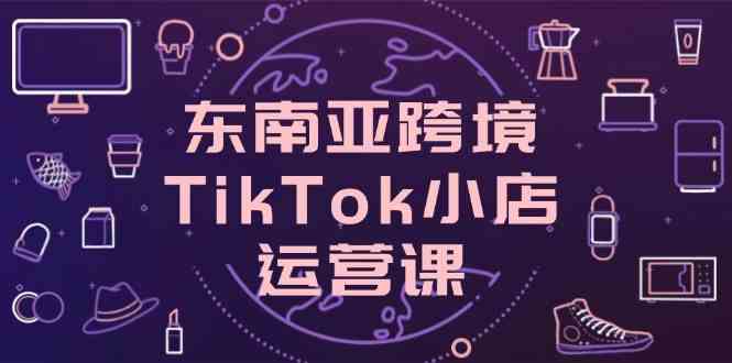 东南亚跨境TikTok小店运营课，掌握店铺设置与流量转化核心技巧-云库资源