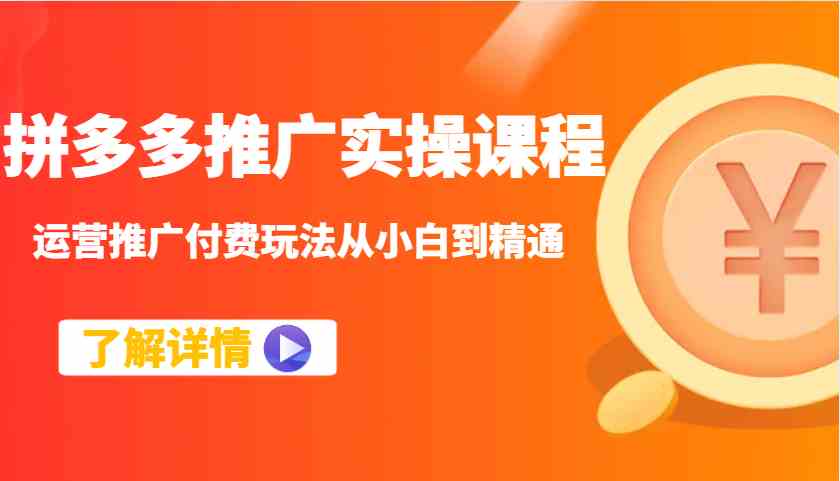 拼多多推广实操课程：运营推广付费玩法从小白到精通-云库资源