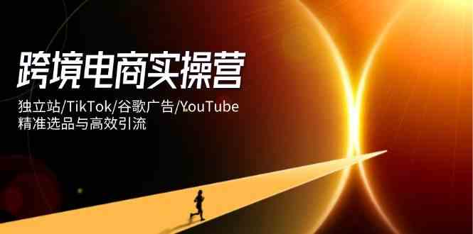 跨境电商实操营：独立站/TikTok/谷歌广告/YouTube，精准选品与高效引流-云库资源