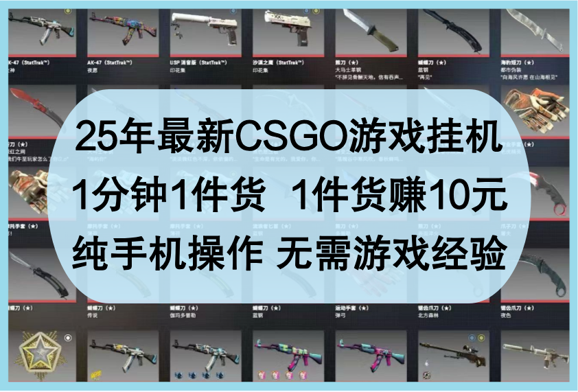 25年最新CSGO游戏挂机，1分钟1件货，1件货赚10元，纯手机操作，无需游戏经验-云库资源