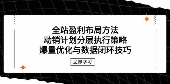 全站盈利布局方法：动销计划分层执行策略，爆量优化与数据闭环技巧-云库资源