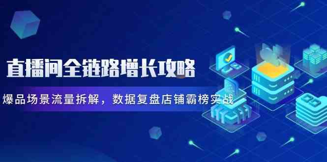 直播间全链路增长攻略，爆品场景流量拆解，数据复盘店铺霸榜实战-云库资源