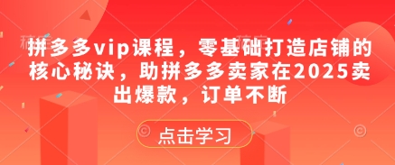 拼多多vip课程，零基础打造店铺的核心秘诀，助拼多多卖家在2025卖出爆款，订单不断-云库资源