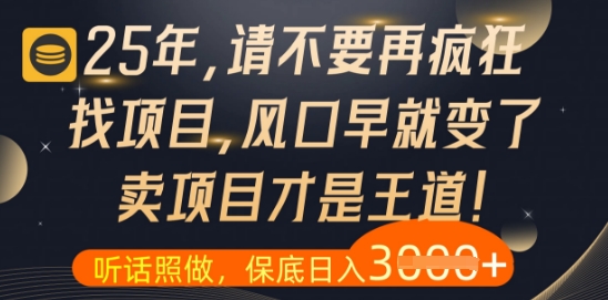 什么？25年你还在疯狂找项目做，醒醒吧，看完这些你全都懂了【揭秘】-云库资源