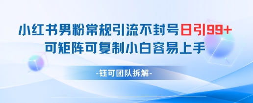 小红书男粉常规引流不封号日引99+变现简单 可矩阵可复制小白容易上手-云库资源