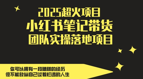 2025超火项目，副业最佳选择，小红书笔记带货团队实操落地项目，，轻松日入5张-云库资源