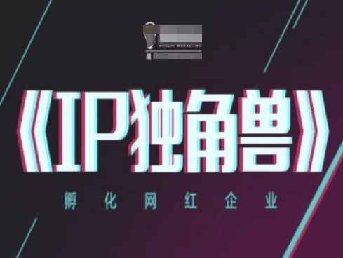 IP独角兽，孵化网红企业，ip教程-云库资源
