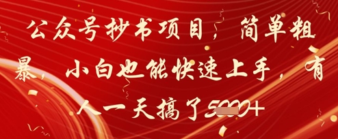 公众号抄书项目，简单粗暴，小白也能快速上手，有人一天搞了1k+-云库资源