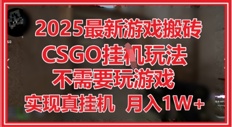 2025最新游戏搬砖，CSGO挂G，不需要玩游戏，实现真挂G，月入1W+【揭秘】-云库资源
