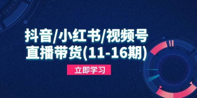 （14611期）抖音/小红书/视频号/直播带货(11-16期)，快速掌握平台规则，打造爆款内容-云库资源
