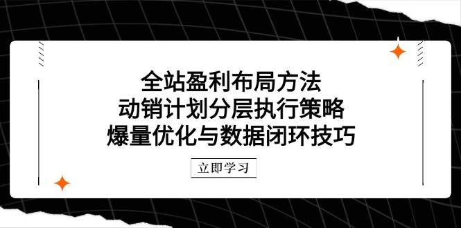 （14698期）全站盈利布局方法：动销计划分层执行策略，爆量优化与数据闭环技巧-云库资源