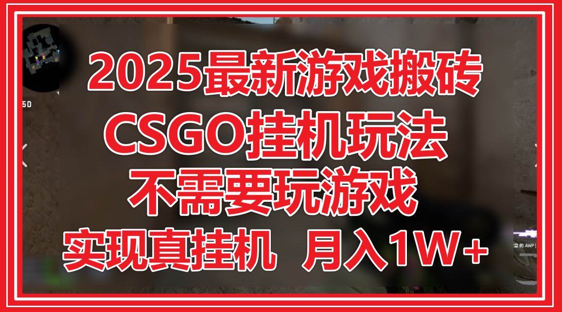 （14743期）2025最新游戏搬砖，CSGO挂机，不需要玩游戏，实现真挂机，月入1W+-云库资源