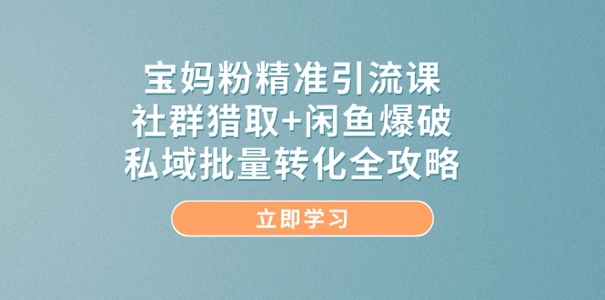 （14820期）宝妈粉精准引流课，社群猎取+闲鱼爆破，私域批量转化全攻略-云库资源