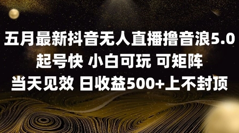 2025五月最新无人直播撸音浪单日产出5张+实操教程【揭秘】-云库资源