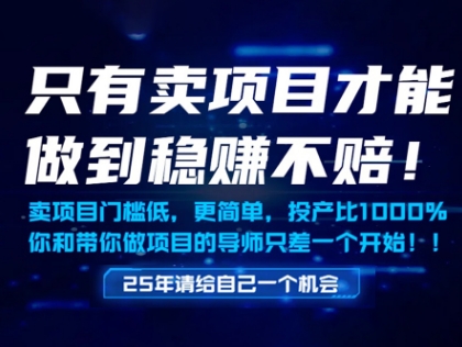 只有卖项目才能做到稳挣不赔，门槛低，更简单，你也可以年入百个W【揭秘】-云库资源