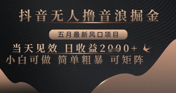 抖音无人撸音浪掘金，五月最新风口项目，当天见效，日收益多张，小白可做简单粗暴可矩阵【揭秘】-云库资源