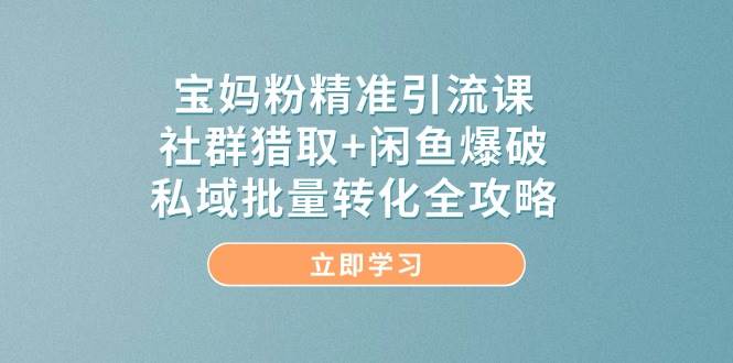 宝妈粉精准引流课，社群猎取+闲鱼爆破，私域批量转化全攻略-云库资源