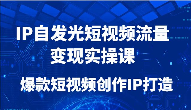 IP自发光短视频流量变现实操课，爆款短视频创作IP打造-云库资源