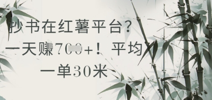 抄书在小红薯平台？平均一单30米，一天收益几张！-云库资源