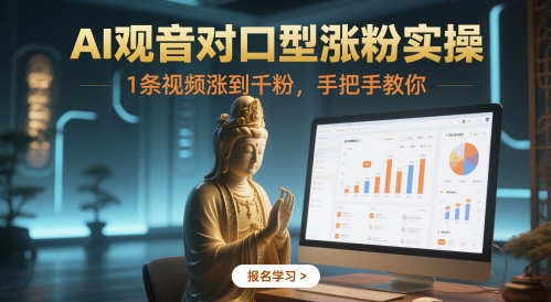 AI观音对口型涨粉实操，1条视频涨到千粉，手把手教你-云库资源