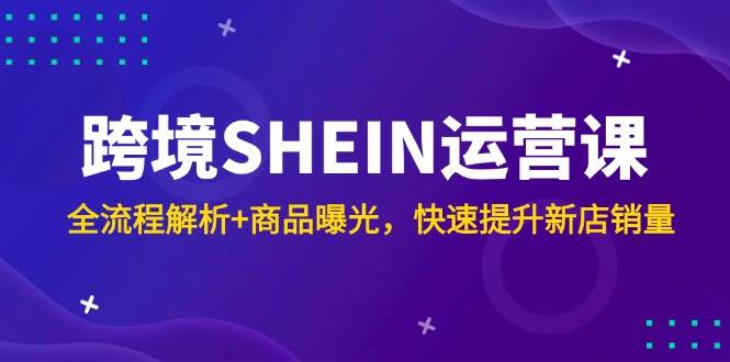 （14832期）跨境SHEIN运营课，全流程解析+商品曝光，快速提升新店销量-云库资源