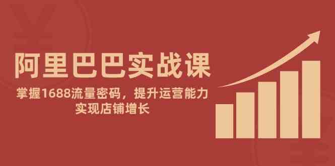 阿里巴巴实战课：掌握1688流量密码，提升运营能力，实现店铺增长-云库资源