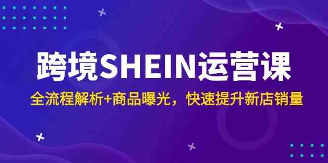 跨境SHEIN运营课，全流程解析+商品曝光，快速提升新店销量-云库资源