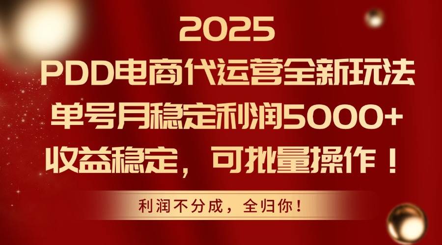 （14839期）2025PDD电商代运营全新玩法，单号月稳定利润5000+，收益稳定，可批量操作-云库资源