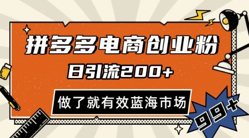 拼多多引流电商创业粉，日引200+，可矩阵放大，做了就有效【揭秘】-云库资源