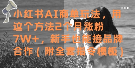 小红书AI商单玩法，用这个方法2个月涨粉7W+，新手也能接品牌合作(附全套指令模板)-云库资源