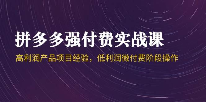 （14874期）拼多多强付费实战课-44期，高利润产品项目经验，低利润微付费阶段操作-云库资源