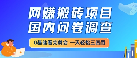 网创搬砖项目，国内问卷调查，小白轻松上手，一天三四张的也不难，干就完了【揭秘】-云库资源