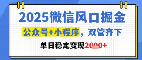 2025微信风口掘金，公众号+小程序双管齐下，单日稳定变现1k+【揭秘】-云库资源
