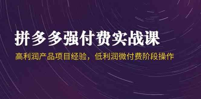 拼多多强付费实战课-44期，高利润产品项目经验，低利润微付费阶段操作-云库资源